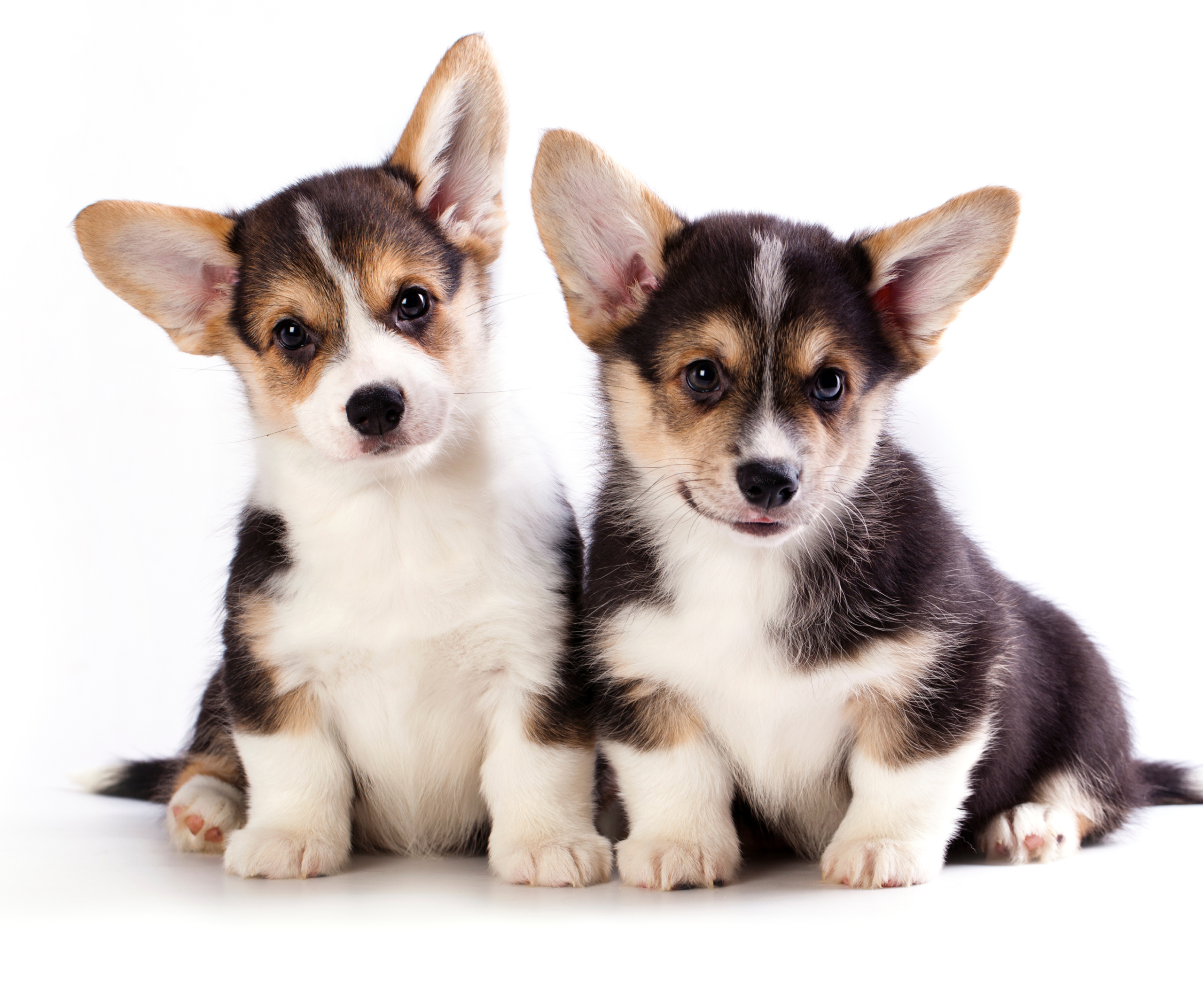 Profilaktyka zdrowotna  – przepis na dłuższe życie w zdrowiu